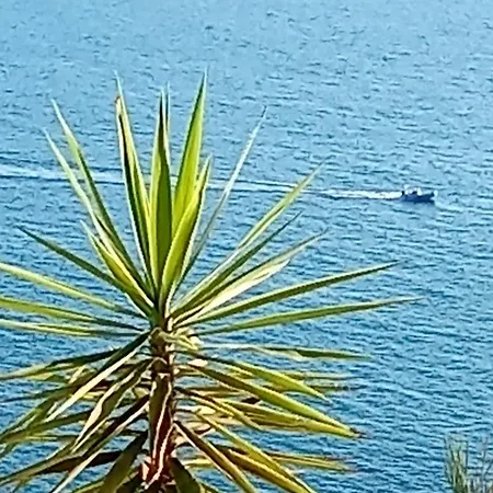 בקתה Sebi's With Sea View *