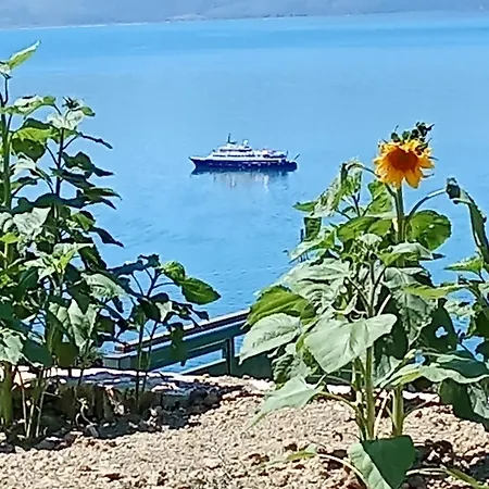 Sebi's With Sea View