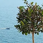 Sebi's With Sea View
