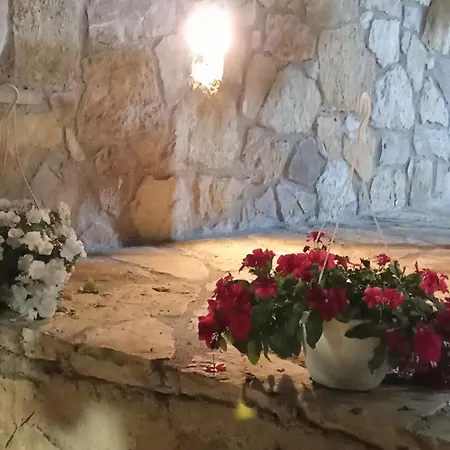 Sebi's With Sea View