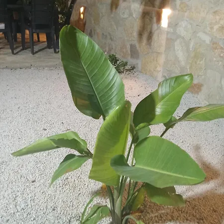 Sebi's With Sea View