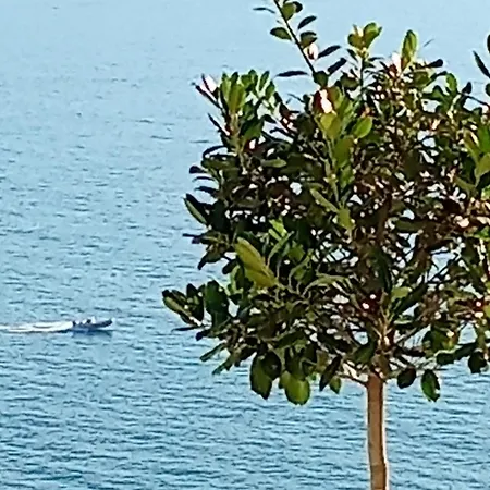 Sebi's With Sea View