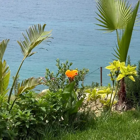 Chalet Sebi's With Sea View *