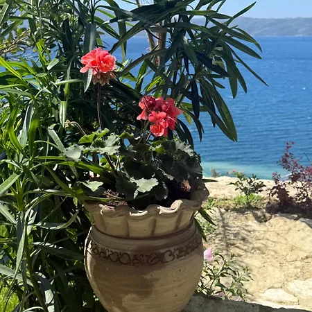 Sebi's With Sea View Avlonya