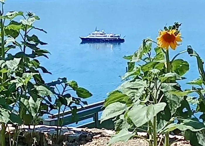 Sebi's With Sea View