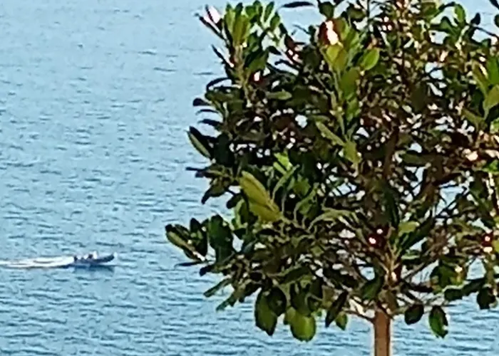 Sebi's With Sea View